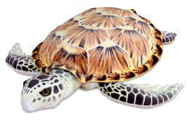 Plyšová želva kareta obrovská, 87 x 79 x 20 cm