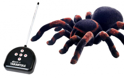 tarantule-280100.jpeg