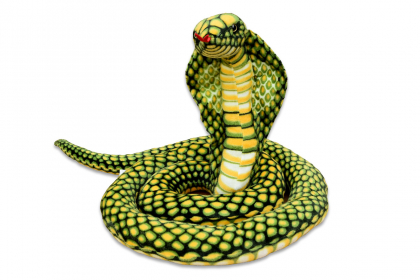 Kobra zelená - 1.jpg