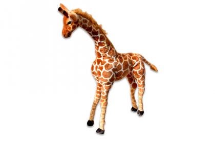 Žirafa -1.jpg