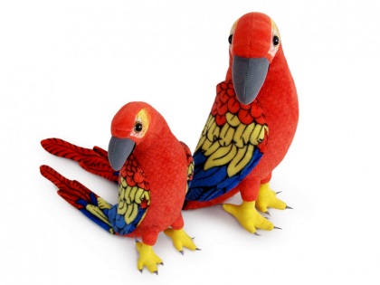 Papoušek Ara - 1.jpg